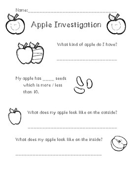Apple Investigation by Miss Barber s Firsties TPT