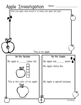 Apple Investigation Pre K Fall Science Worksheet by JolieDesign TpT