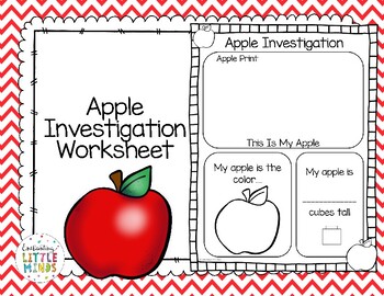 Apple Investigation Worksheet by Enchanting Little Minds TpT