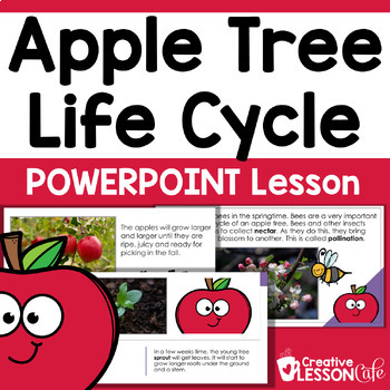 Preview of Apple Life Cycle Activities | Apples Teaching Resources  | FALL Science Lessons