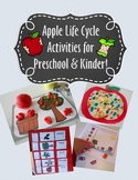 Apple Life Cycle Activities and Worksheets  for Preschool 