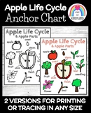 Apple Life Cycle Anchor Chart Poster - Apple Parts - Johnn