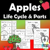 Apple Life Cycle | Apple Parts Labeling