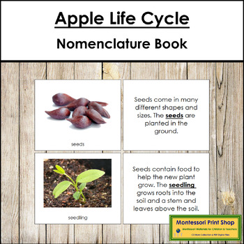 Preview of The Apple Life Cycle Book - Montessori Nomenclature