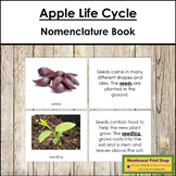 The Apple Life Cycle Book - Montessori Nomenclature