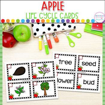 Preview of Apple Life Cycle  Cards and Printable