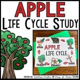 Apple Life Cycle | Centers, Activities and Worksheets | Fa