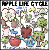 Apple Life Cycle Clip Art Whimsy Workshop Teaching