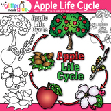 Apple Life Cycle Clipart: Color Black & White