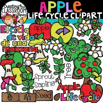 Preview of Apple Life Cycle Clipart {Life Cycles Clipart}