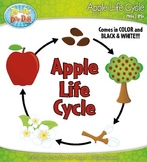 Apple Life Cycle Clipart {Zip-A-Dee-Doo-Dah Designs}