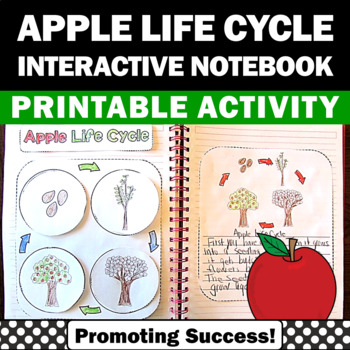 Preview of Apple Life Cycle Craft Science Interactive Notebook Fall Autumn Craftivity
