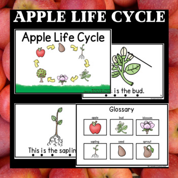 Preview of Apple Life Cycle Emergent Reader Sight Word Book (Google Slides & Printable)