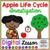 Apple Life Cycle | For Google Slides™ | Distance Learning