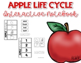 Apple Life Cycle Interactive Notebook