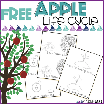 Preview of Apple Life Cycle Mini Book