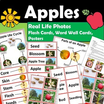 Preview of Apple Life Cycle + Parts: Real Life Photos Cards, Word Wall, Posters {Apples}