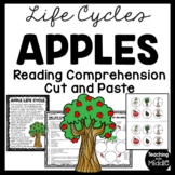 Apple Life Cycle Reading Comprehension and Sequencing Work