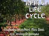 Apple Life Cycle {Craftivity, PowerPoint, Mini Book, & Wri