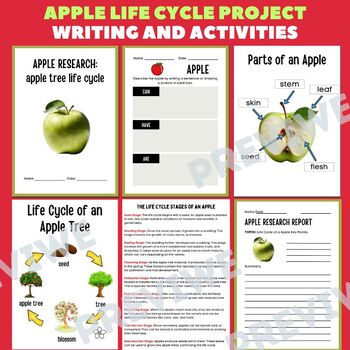 Apple Life Cycle Research Project Report - Information Report Activities