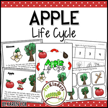 Preview of Apple Life Cycle Science | Preschool Pre-K