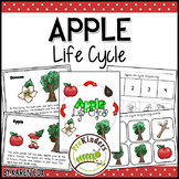 Apple Life Cycle Science | Preschool Pre-K
