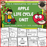 Apple Life Cycle September Science Worksheets PreK Kinderg