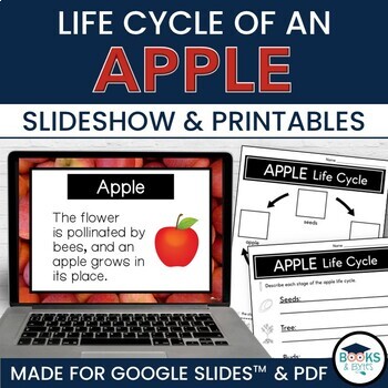 Preview of Apple Life Cycle Slideshow Lesson for Google Slides™ + Printable Activities