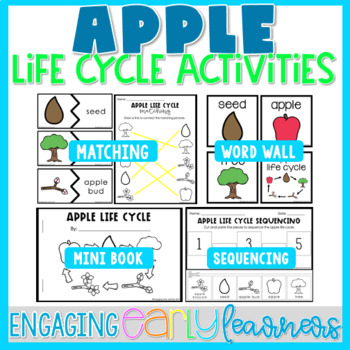 Preview of Apple Life Cycle Printable Word Wall & Activities | Preschool PreK Kindergarten