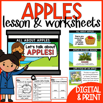 Preview of Apple Life Cycle and All About Apples Lesson and Worksheets Kindergarten Science