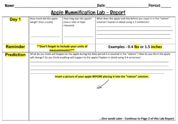 Preview of Apple Mummification Lab - Report