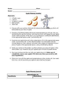 Preview of Apple Mummy Activity