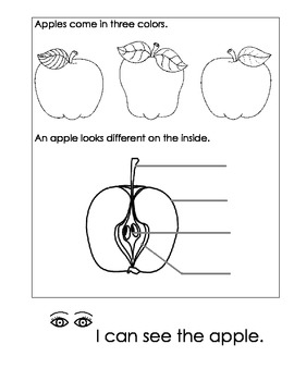Apple Observation Journal by Blushing Bailey | Teachers Pay Teachers
