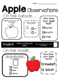 Apple Observations