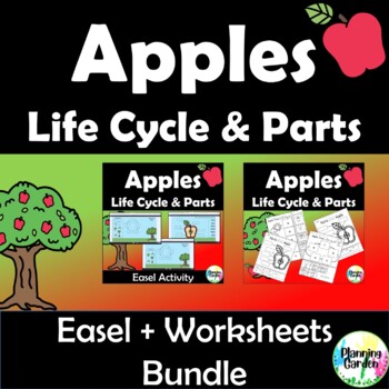 Preview of Apple Parts | Life Cycle Labeling: Easel + Worksheets Bundle {Apples Life Cycle}