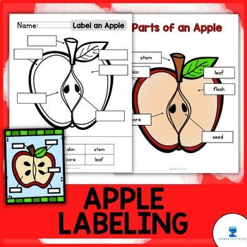 Results for label parts of an apple | TPT