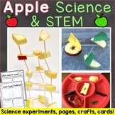 Apple Science & STEM, Parts of an Apple Word Wall Cards & 