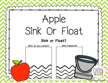 Sink Or Float Worksheet Teachers Pay Teachers