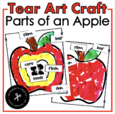 Tear Art Craft Parts of an Apple