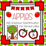 Apple Theme Letter and Number Identification Sensory Bin C