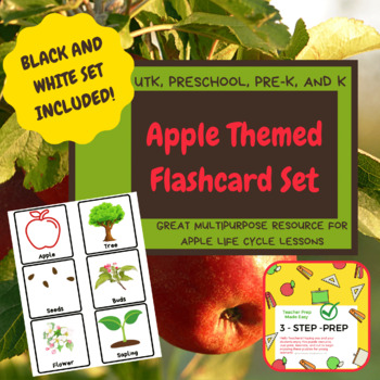 Preview of Apple Themed Flashcards for UTK, Preschool, Pre-K, TK, and Kindergarten