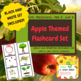 Apple Themed Flashcards for UTK, Preschool, Pre-K, TK, and