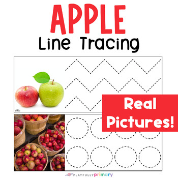 Preview of Apple Tracing Cards with Real Pictures, Apple Montessori SPED OT