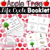 Apple Tree Life Cycle Booklet Fall Activity Montessori Inspired