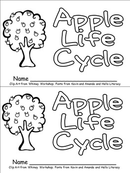 Apple Tree Life Cycle Emergent Reader for Kindergarten by Melissa Williams