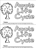 Apple Tree Life Cycle Emergent Reader for Kindergarten