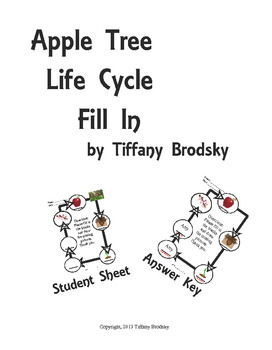 Preview of Apple Tree Life Cycle Fill In Science Vocabulary Check or Practice