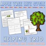 Apple Tree Life Cycle Helping Trio Reading Worksheets