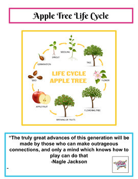 Preview of Apple Tree Life Cycle Play Based Hands On Fun