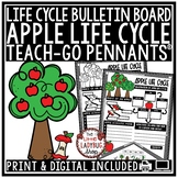 Apple Tree Life Cycle Science Activity Bulletin Board Teac